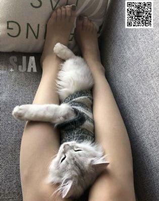 欧美网站在线观看_蓝光免费播放