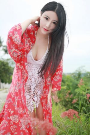 村里来了个洋媳妇电视剧_DVD完整版观看