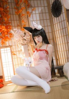 bucchigiri动画免费观看_DVD免费观看视频